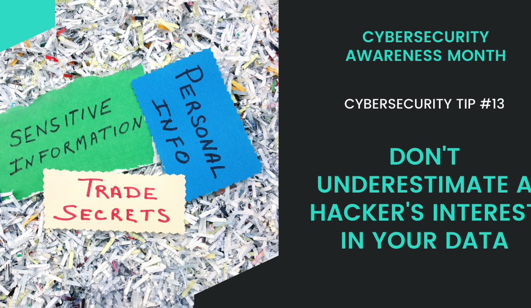 Cybersecurity Tip #13